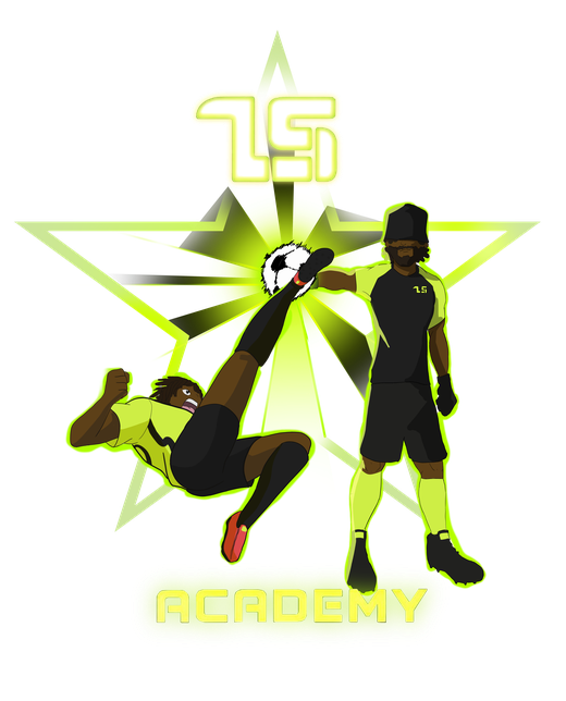 LS Academy — logo